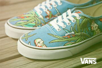 vans shoes